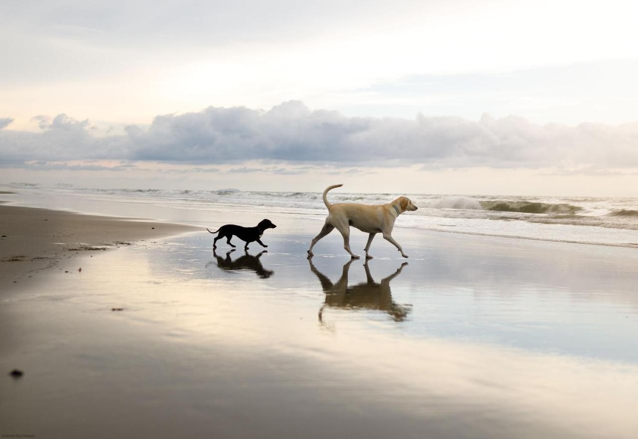 Sea-Renity Villa Filey Bagian luar foto